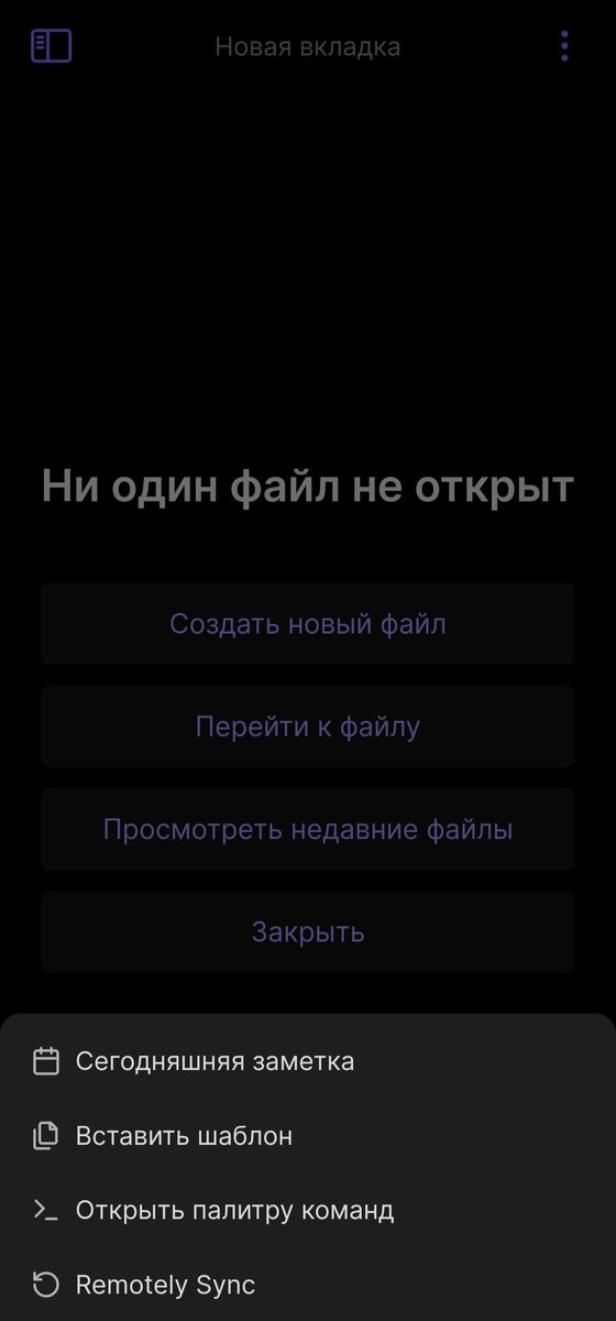 Remotely Sync на смартфоне