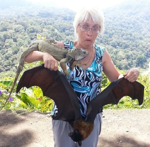 Фото из интернета