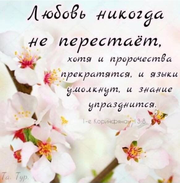 Фото из открытого доступа Яндекс картинки