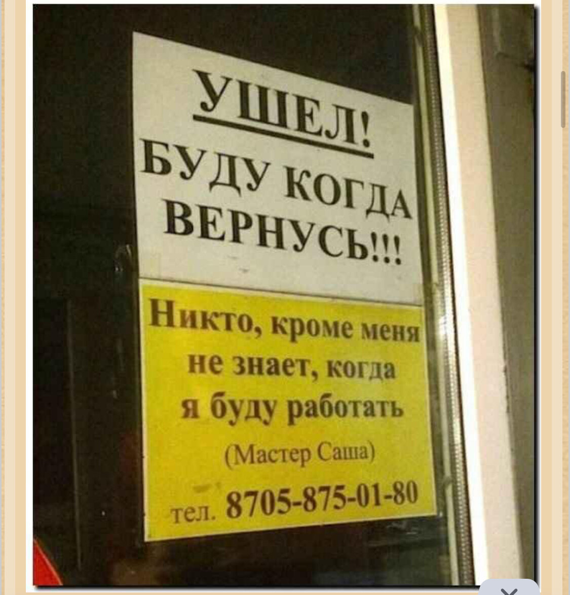 Коты умнее людей. Коты они такие. Цитаты про работу. Можно пораньше уйти с работы. Можно мне сегодня уйти с работы пораньше.