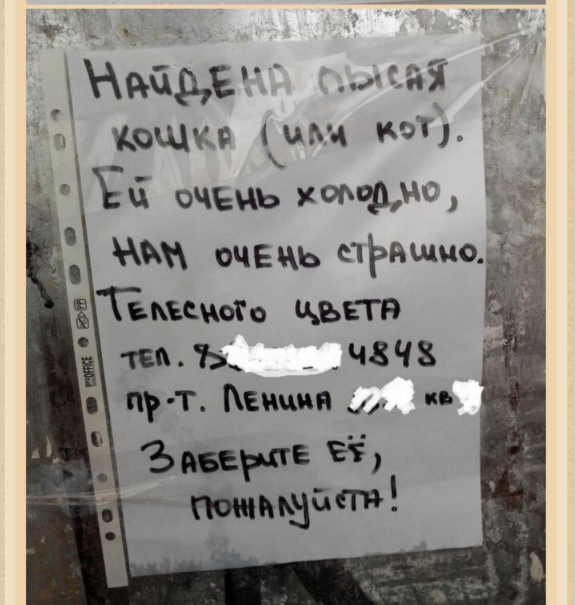 Эти объявления можно читать вместо анекдотов (20 объявлений) | Людмила  Плеханова Готовим вместе. Еда | Дзен