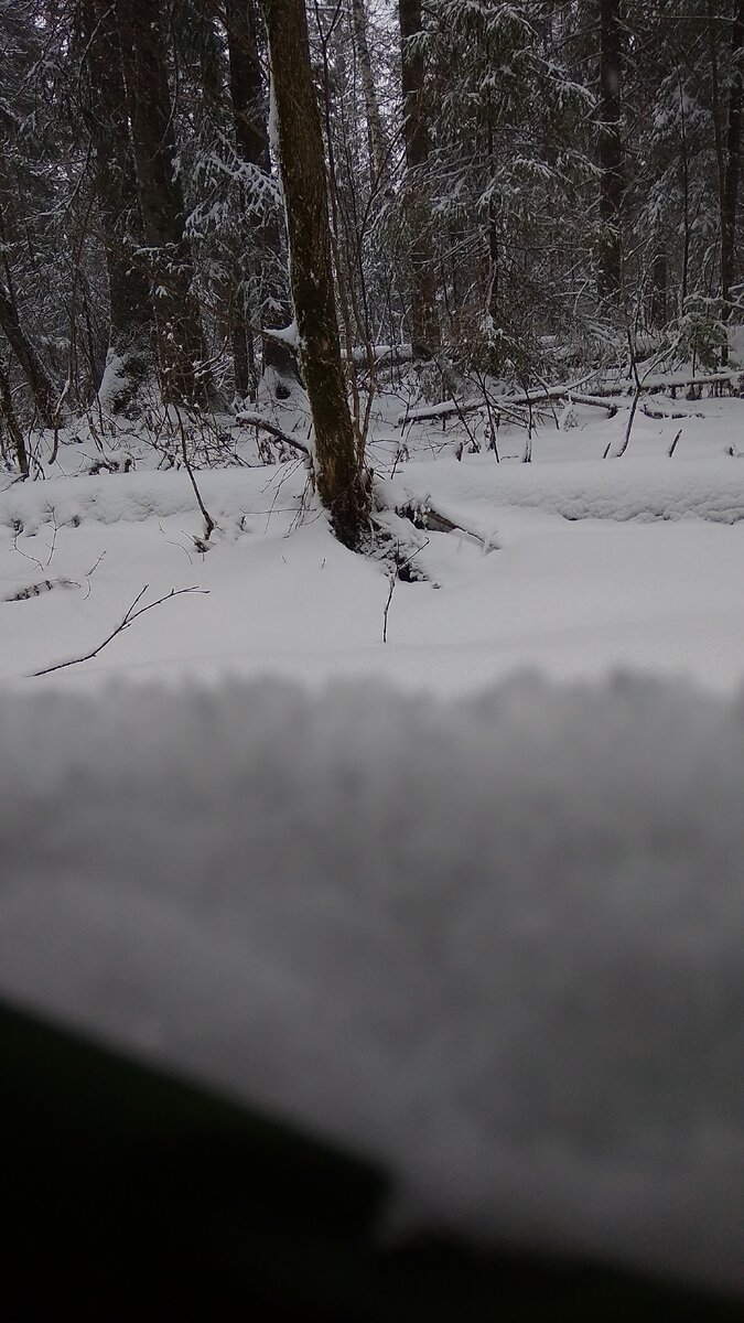 Первый взгляд из смотрового окна палатки на улицу