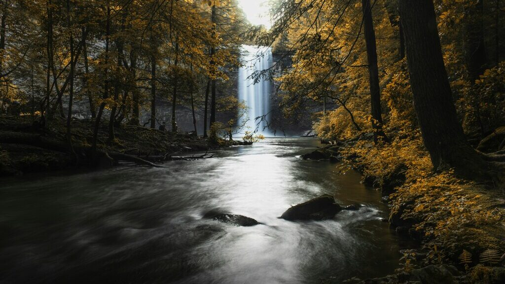 Автор: Chad Madden