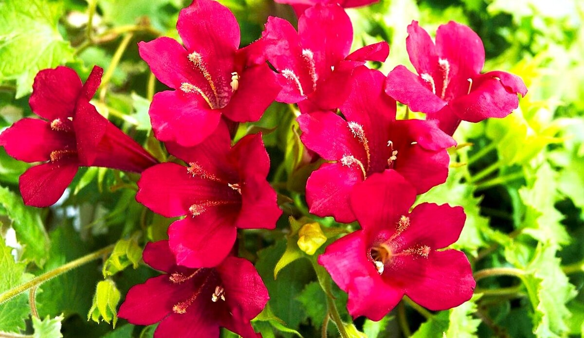 Листайте галерею для просмотра фото.