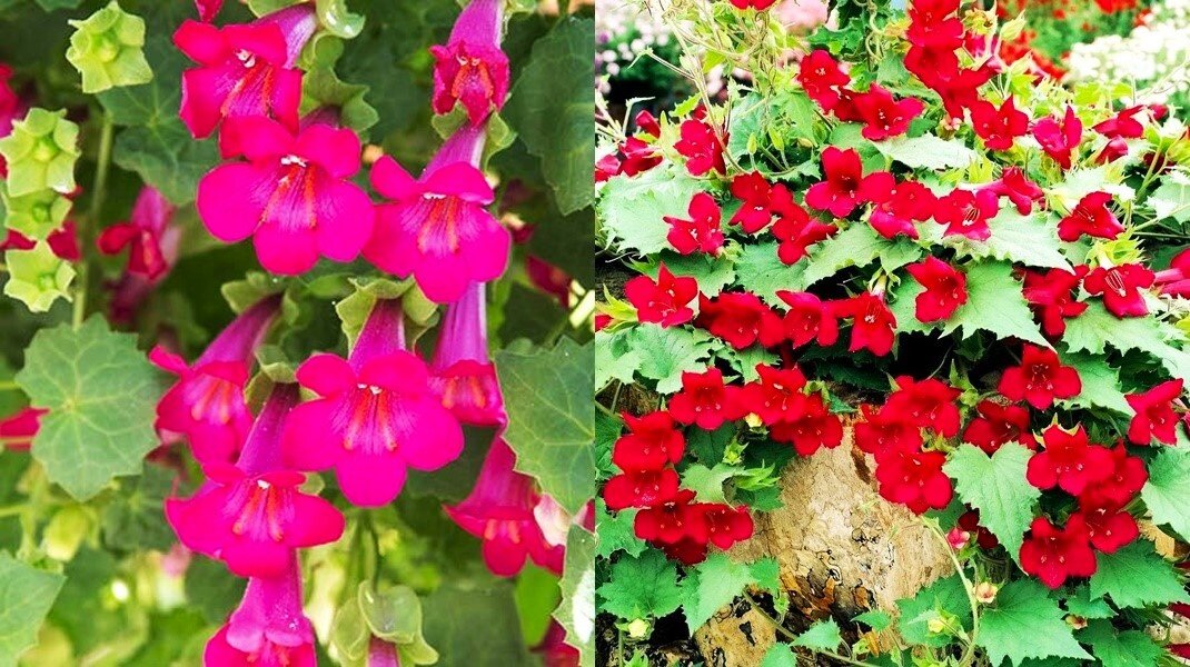 Листайте галерею для просмотра фото.