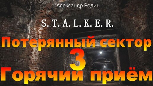 3 Горячий прием. Аудиокнига по повести Потерянный сектор stalker