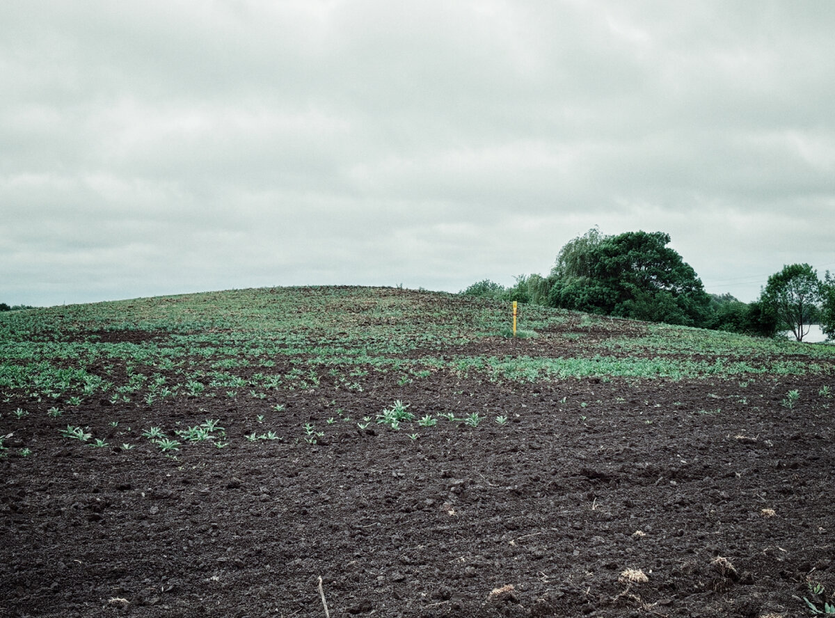 Бывают и гораздо выше, больше, двойные. 