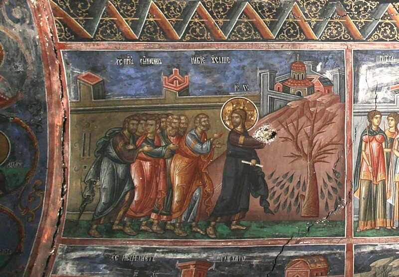 Проклятие смоковницы. Печская патриархия. XIV в.