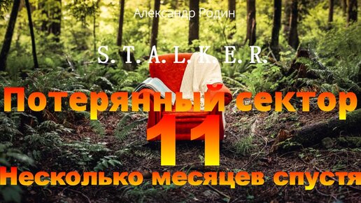 11 Несколько месяцев спустя. Продолжение повести #Потерянный сектор по вселенной #Stalker #Сталкер. Слушай в наушниках аудиокнигу