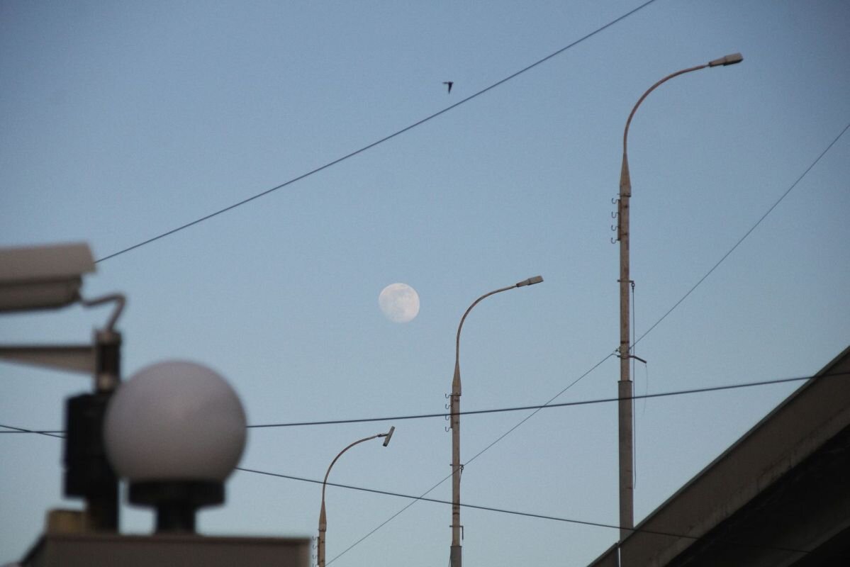 Фото: Е. Зимней