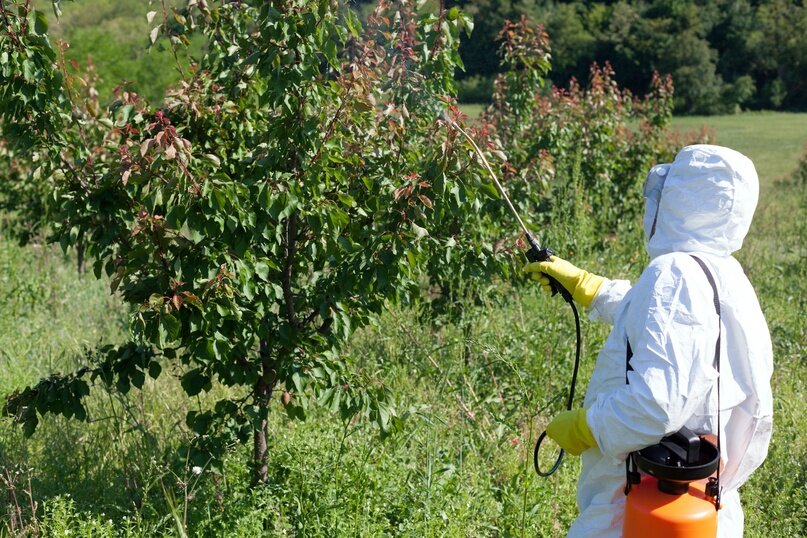 Создать карусельДобавьте описание