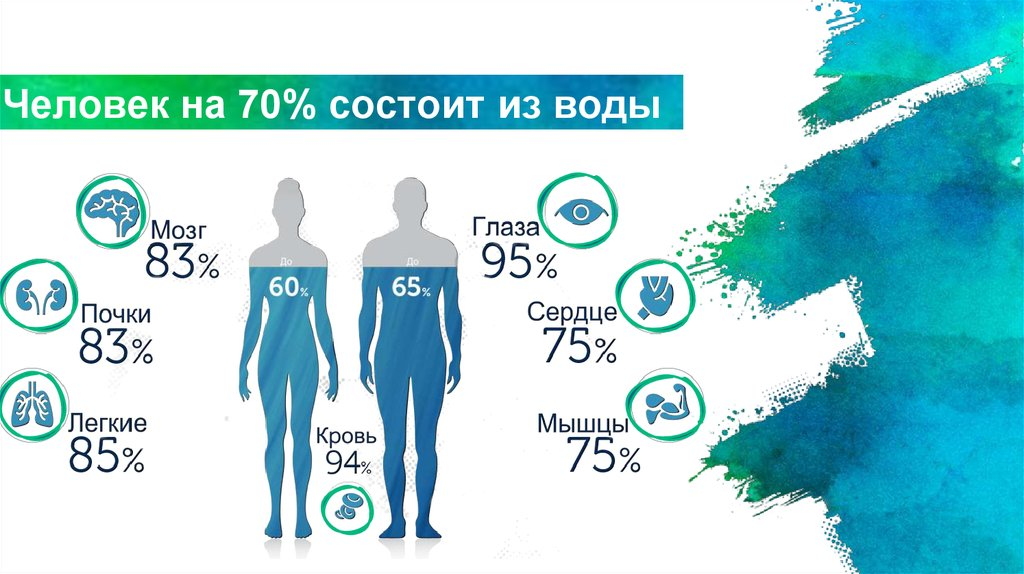 Тело человека состоит в среднем на 60 % из воды, на 34 % из органических веществ, на 6 % — из неорганических (для разного возраста приводимые отношения меняются).