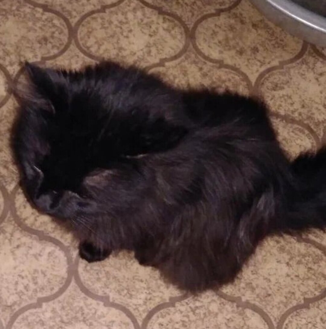 Враг бесклёвья))