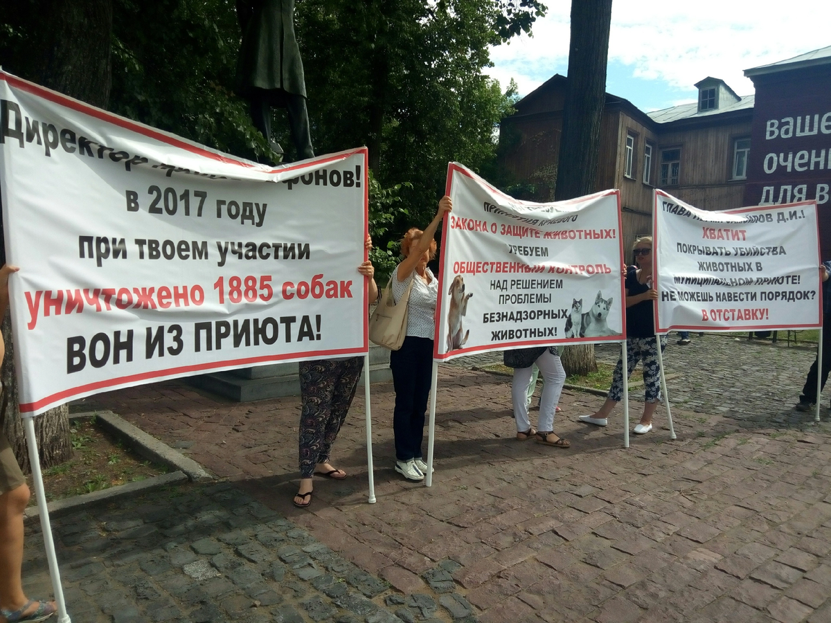 Даже участвовала в таких мероприятиях