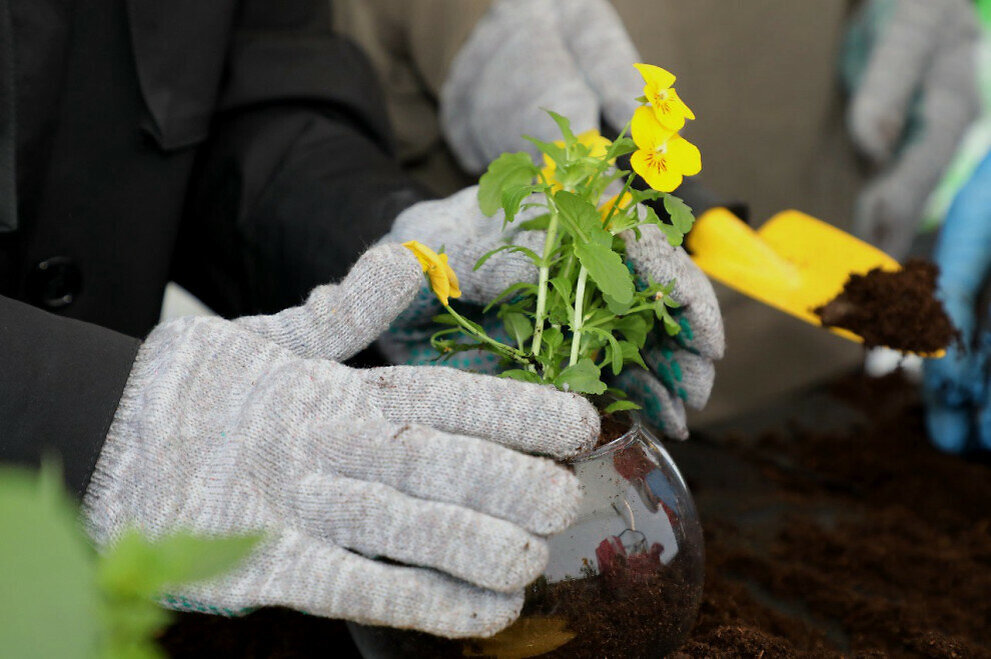 Фото: предоставлено РусКлиматФондом 