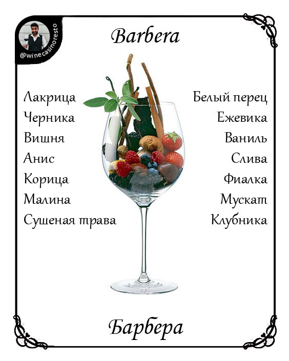                                                    _____________АВЭ______________  
                                                   (Азбука Винного Энтузиаста)
Барбера - автохтонный темный сочный сорт винограда, выращиваемый преимущественно в регионе Пьемонт (Италия). Фактически, это самый выращиваемый здесь сорт винограда. Когда-то это вино было известно как вино "на каждый день", но в настоящее время оно получает все большее признание за многогранность и качество. Сорт можно встретить так же в Ломбардии, Эмильи-Романьи и совсем мало на юге. Что касается происхождения, то ДНК-анализ в начале века показал отсутствие предков барберы в Пьемонте. Зато обнаружил, что одним из родителей барберы был "коккалона нера", он же "орсолина". Считается, когда-то "орсолина" была широко распространена в Германии и Австрии. Она же произвела на свет вельшрислинг.
Наряду со многими другими итальянскими красными сортами, прекрасно сочетается с большим спектром итальянскими блюд (пицца и паста), а все благодаря своей высокой кислотности, сочности и фруктовости!
✔️До того как истинный характер барберы открыл Брайда, это было массовое вино, используемое для предания цвета винам других регионов. Никто не сделал столько для барберы, как Джакомо Болонья, по прозвищу "Брайда". В 1961 году он выпустил свою первую усовершенствованную барберу La Monella. Успеху способствовало снижение урожайности втрое, сбор только зрелого урожая по срокам наравне с неббиоло (барбера созревает раньше), выдержка во французских барриках.
✔️В 1970 году были утверждены аппелласьоны:
- Barbera d’Asti DOC (в 2008-м будет повышен до DOCG)
- Barbera d’Alba DOC, Barbera del Monferrato DOC (в 2008-м из него выделится Barbera del Monferrato Superiore как отдельный DOCG).
Зоны производства в Пьемонте.
Монферрато – обширная область центрального Пьемонта, которая делится на три части: равнинная часть Монферрато (север территории между реками Танаро и По), Астиджано (вокруг города Асти) и горная часть Монферрато (юг территории, где находятся города Ницца Монферрато, Акуи Терме и Овада). 
Самая известная и престижная винодельческая зона - Barbera d'Asti DOCG, лучшие Барберы происходят с холмов, окружающих город Асти, они отличаются элегантностью и комплексностью. Категорию DOC зона получила в 1970 году, в 2008 году – DOCG.
Содержание Барберы в ассамбляже составляет минимум 90% (на практике 100%). Минимальная выдержка 4 месяца в любой емкости, для версии superiore выдержка составляет 14 месяцев, из них 6 месяцев в бочке.
В Barbera d'Asti Superiore существует несколько подзон: Tinella, Colli Astiani (или Astiano).
Для Tinella superiore минимальная выдержка составляет 24 месяца (из них не менее 6 в бочках). Для Colli Astiani superiore минимальная выдержка составляет 24 месяца (из них не менее 6 в бочках).
Субзона Nizza была выделена в самостоятельную зону Nizza DOCG, которая включает в себя следующие коммуны: Альяно, Бельвельо, Каламандрана, Кастель Больоне, Кастельнуово Бельбо, Кастельнуово Кальчеа, Кастель Роккеро, Кортильоне, Инчиза Скаппачино, Момбаруццо, Момберчелли, Ницца Монферрато, Вальо серра, Винчио, Бруно, Роккета Палафеа, Моска, Сан Марцано Оливето.
Это самая теплая зона в окрестностях Асти, с бедными песчаными почвами, где рождаются зрелые Барберы, с высоким содержанием сахара, свежей кислотностью и бархатными танинами. Среди ароматов преобладают цветочные.
Первая бутылка с пометкой Nizza вышла в 2002 году (винтаж 2000), тогда Nizza была подзоной Barbera d'Asti.
Проект по созданию самостоятельной зоны был запущен в 2013 году, начиная с урожая 2014 вина выходят в категории Nizza DOCG.
Для Nizza DOCG минимальная выдержка составляет 18 месяцев (из них не менее 6 в бочках). Для версии riserva выдержка составляет 30 месяцев, из них 12 в бочках.
На сегодняшний день виноградники Nizza DOCG занимают 200 га. Потенциальная площадь посадок составляет 720 га. Здесь трудятся 43 производителя. В 2014 году выпустили 500 тысяч бутылок, в 2015 году эта цифра выросла до 750 тысяч. 46% идет на экспорт, основной рынок – Германия.