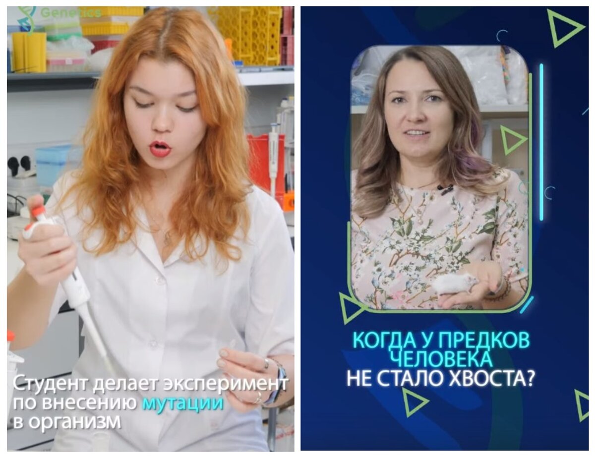 Фото: Easy Genetics 