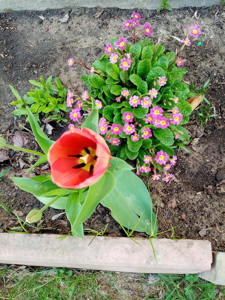 Фото из семейного архива.