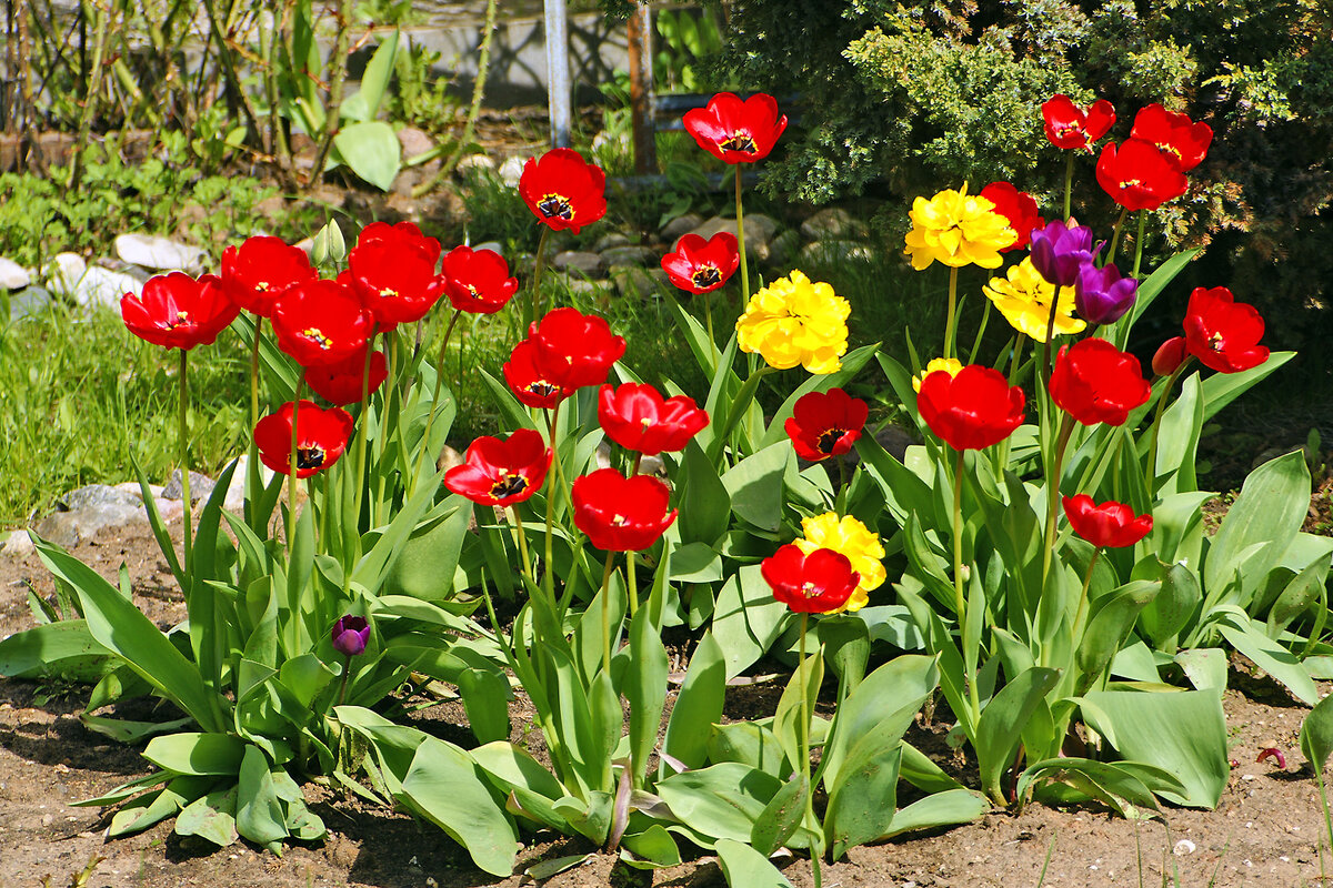 Листайте карусель.