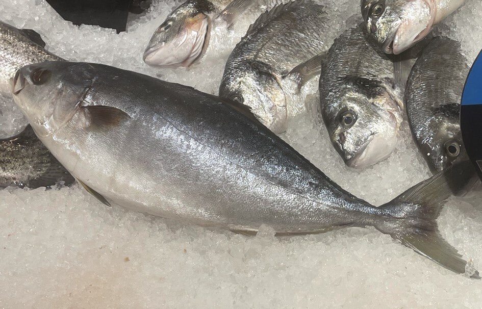 Тунец-желтохвост