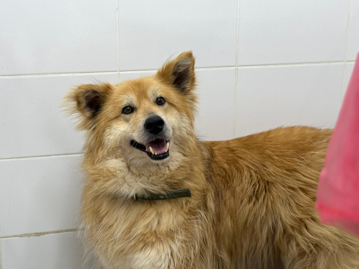 Тихон позирует ❤️