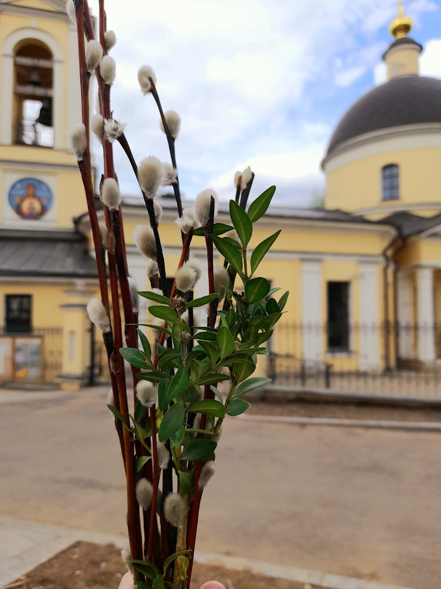 Вербное воскресенье на Воробьевых горах.
