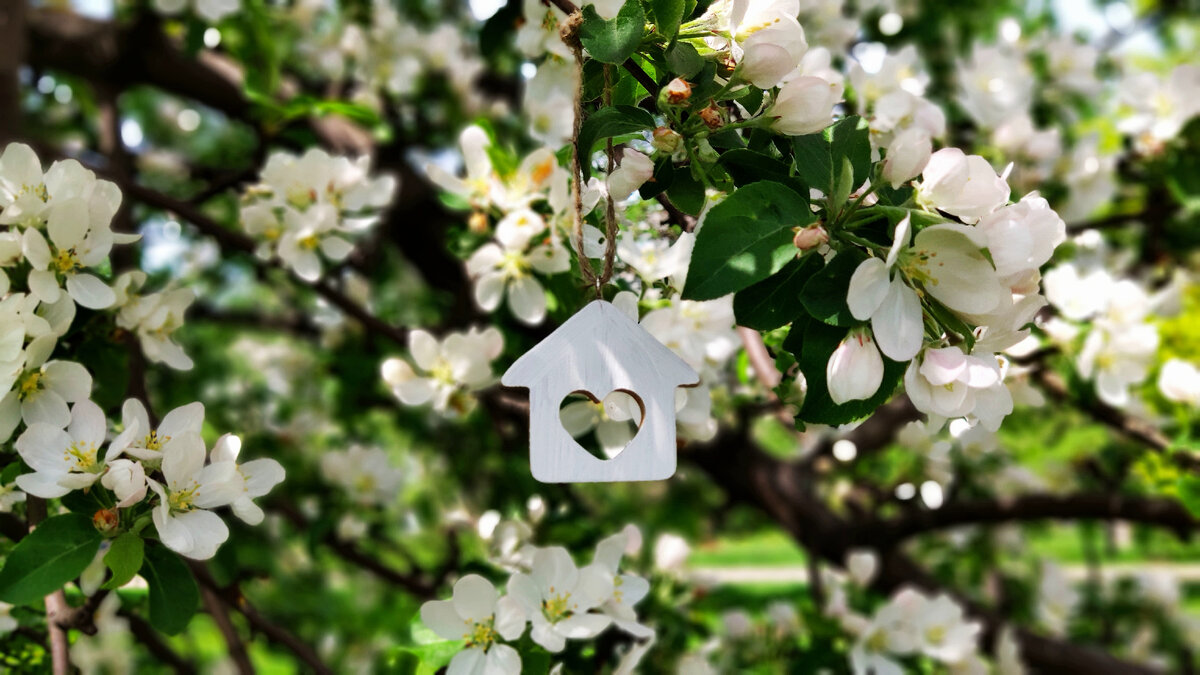 Большинство россиян, проживающих в квартирах (71%), хотели бы переехать в загородный дом