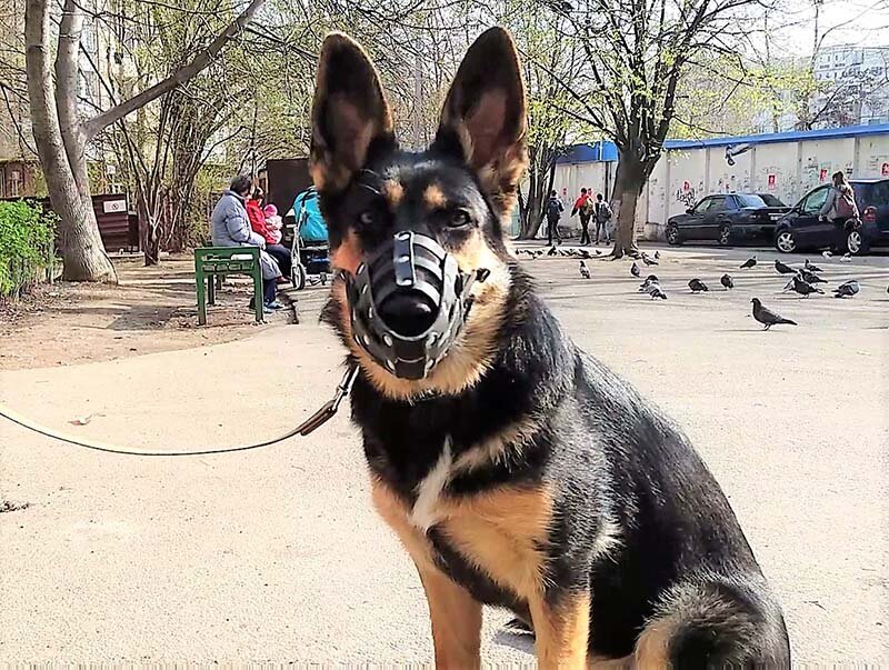 Фото автора - Кейси 6 месяцев 