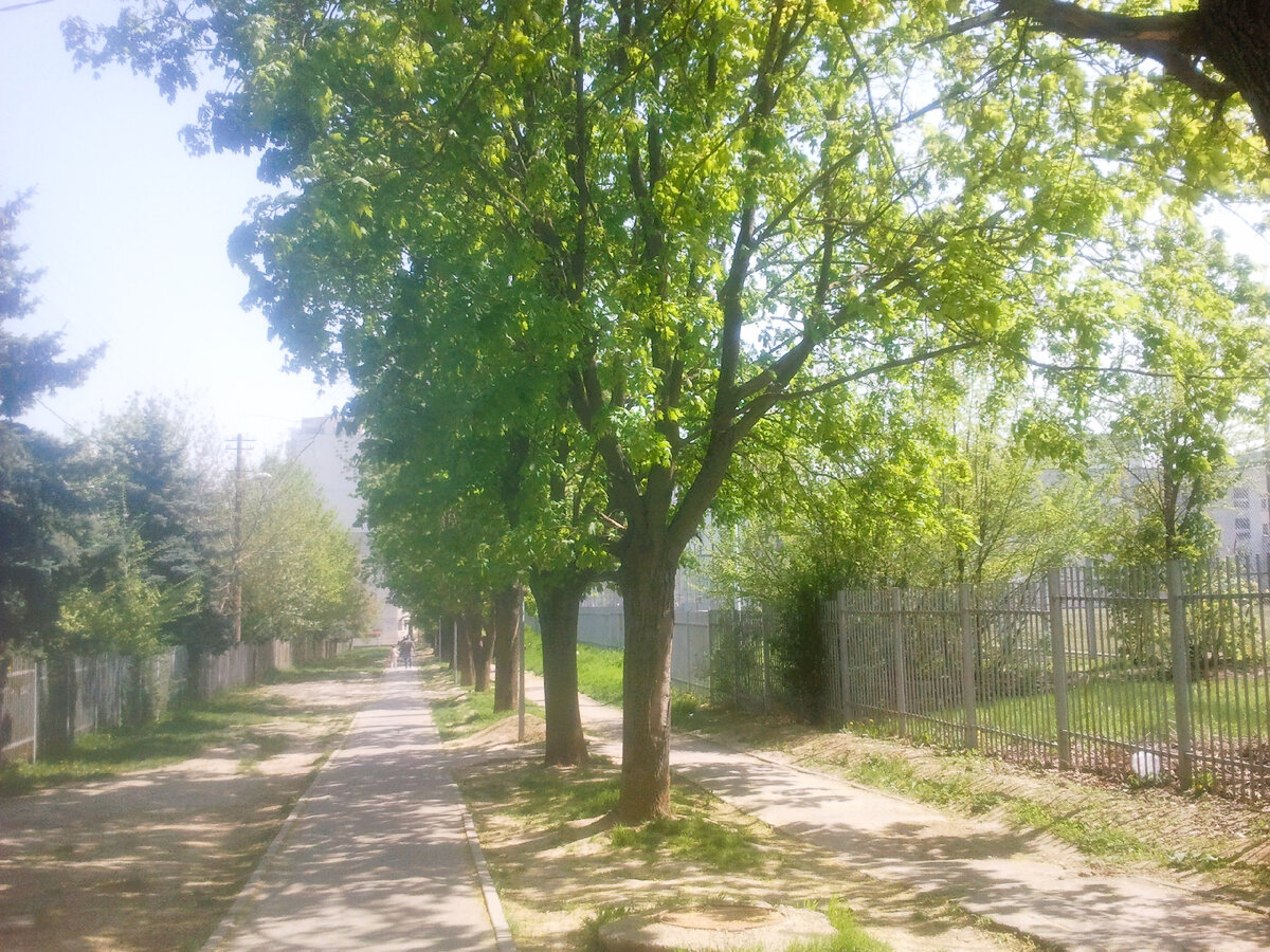 Фото автора