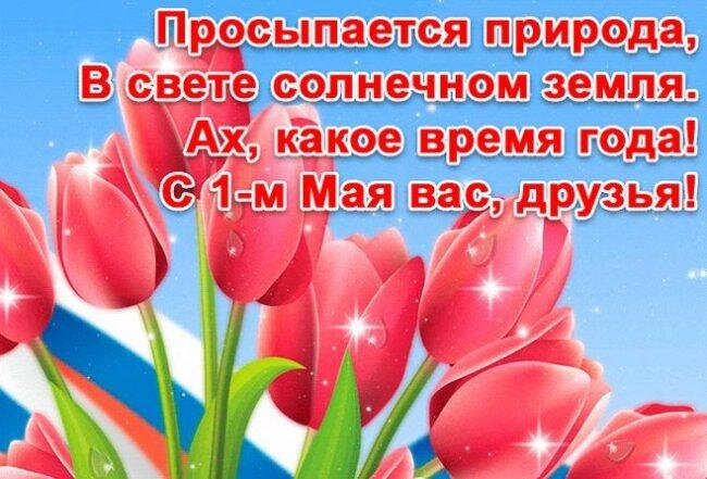 яндекс картинки