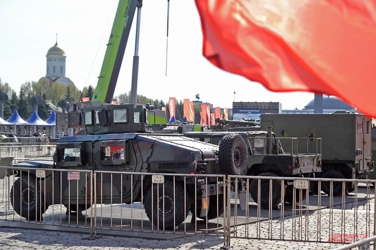    «Раз в сто лет они приходят».