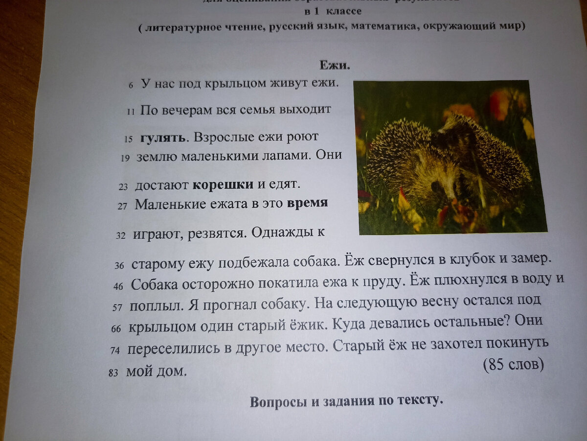 Итоговый контроль для первоклассников по окружающему миру. И что такое  итоговая комплексная работа | Учитель первый твой | Дзен