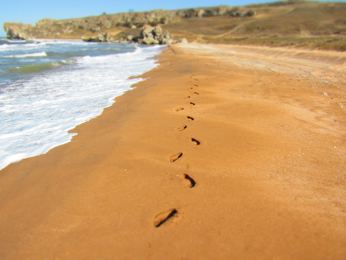 Я бродил по всем дорогам и туда и сюда ... 