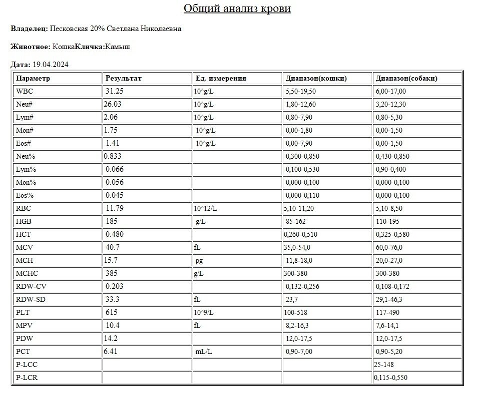 ОАК от 19.04.2024