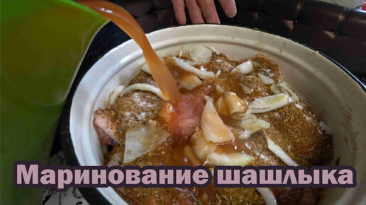 Любимый рецепт маринования шашлыка