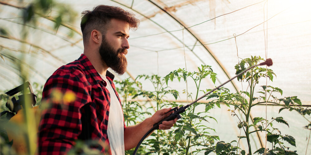 И что самое печальное – до сих пор никто не смог доказать, насколько эффективны эти чудо-подкормки. 
