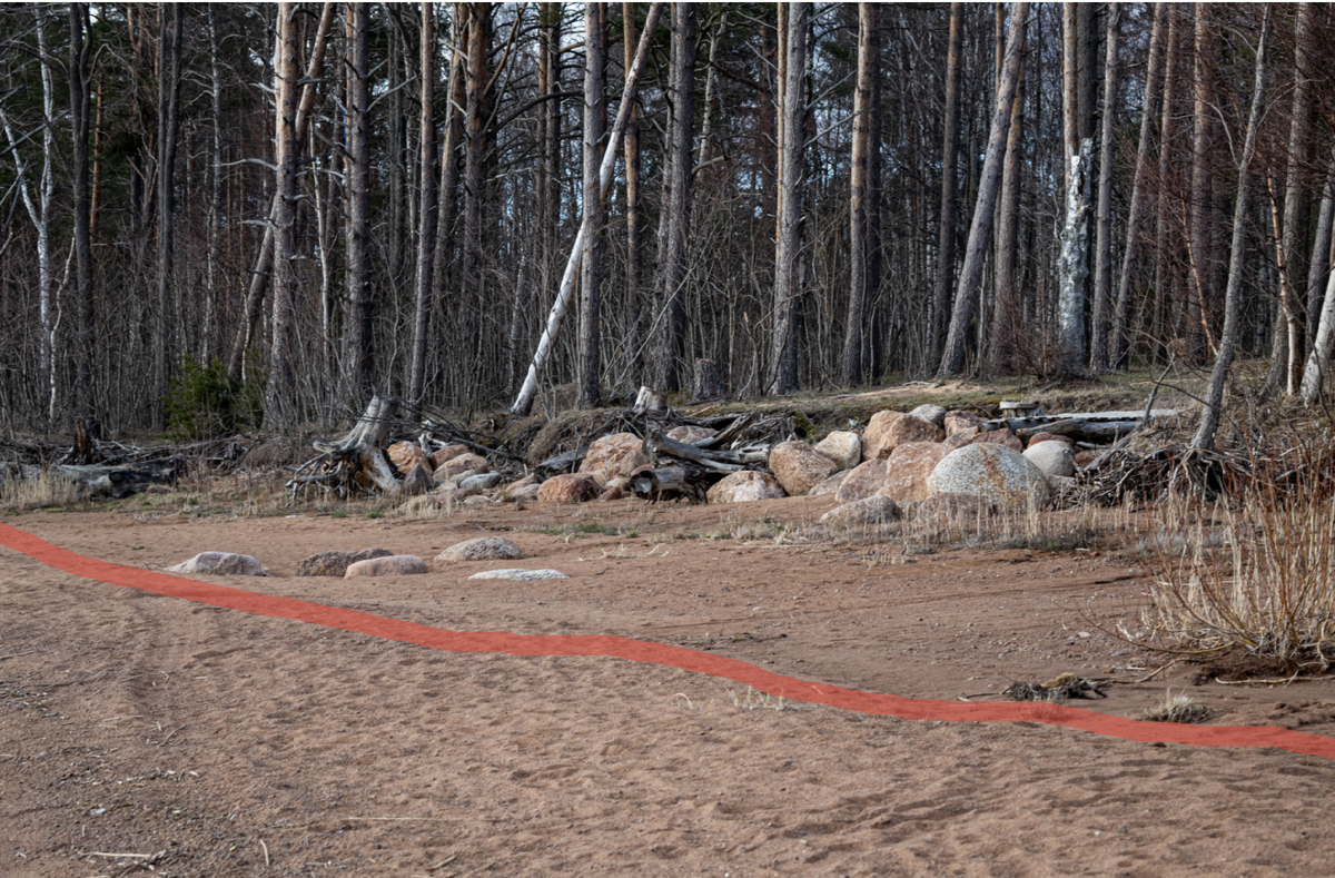 Красная линяя - это примерная линяя, где раньше заканчивался пляж и начинался берег с деревьями. Всё это смыло за эти годы.