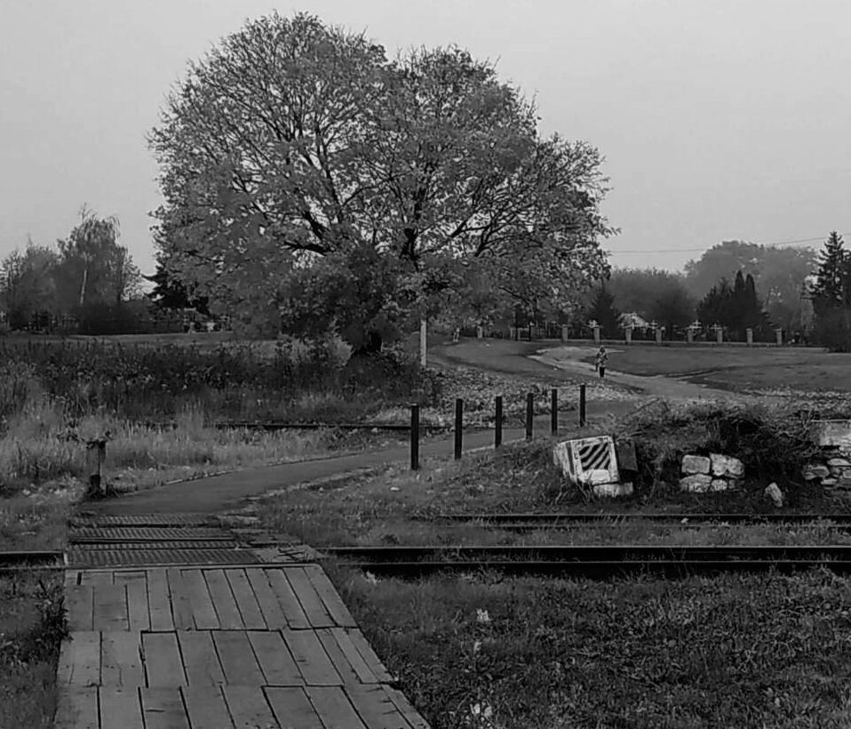 Фото из источников общего доступа в сети Интернет. Фотография современная. Но это именно тот переход через ж/д рельсы, на котором споткнулась я в детстве, отчего осталась с тех пор на коленке татуированная отметинка. Источник https://vk.com/sosnovskiy_district