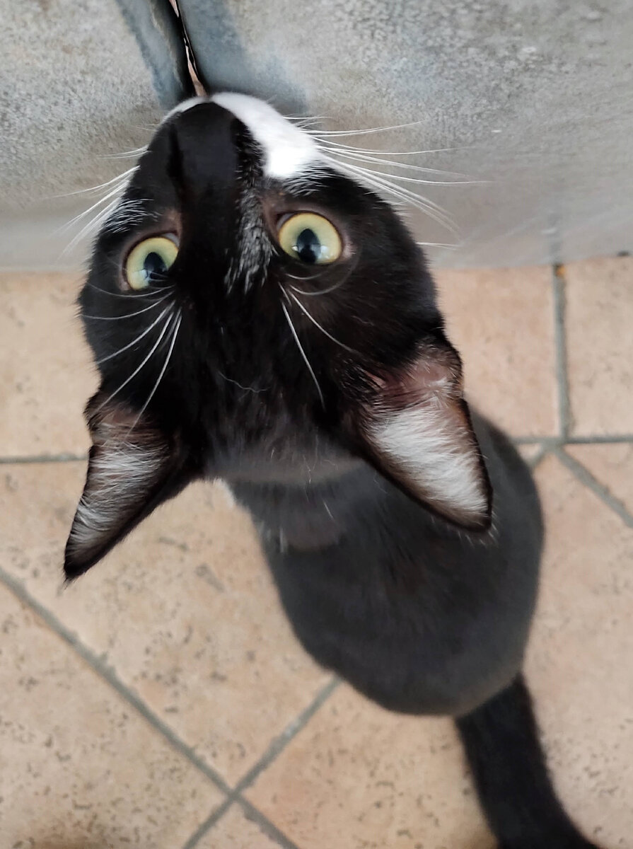 Фото автора. Темные круги вокруг глаз хорошо видны.