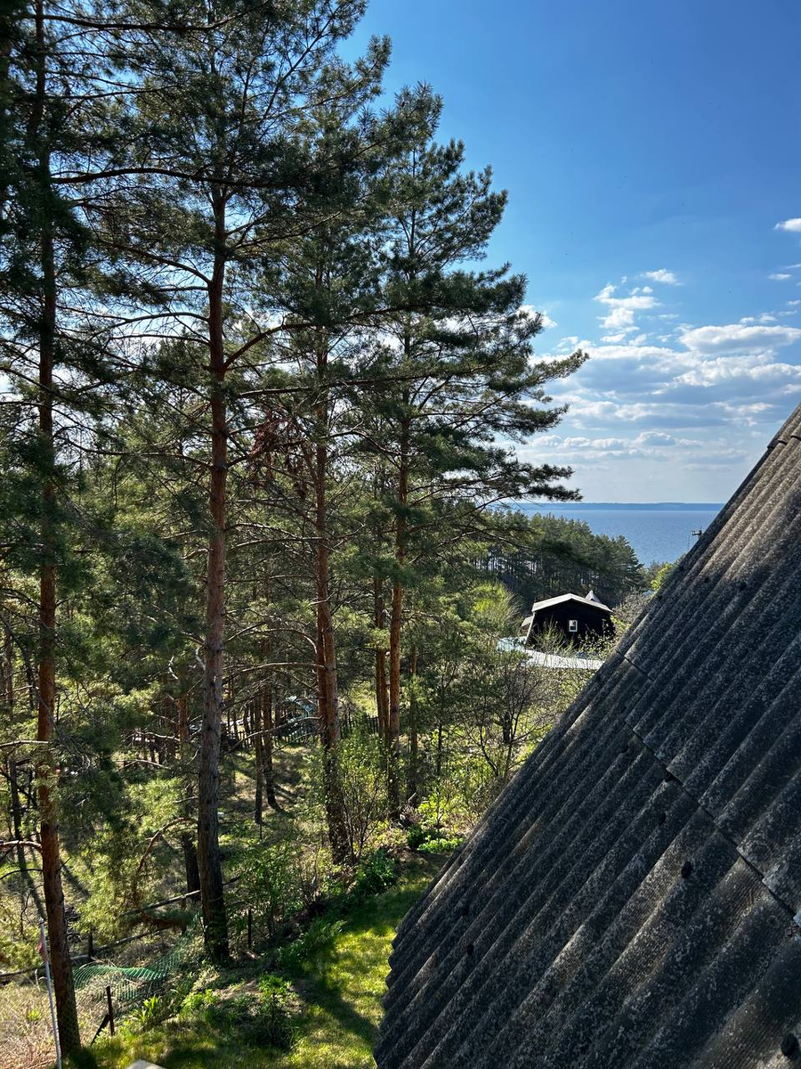 Берег Волги. Красный Яр