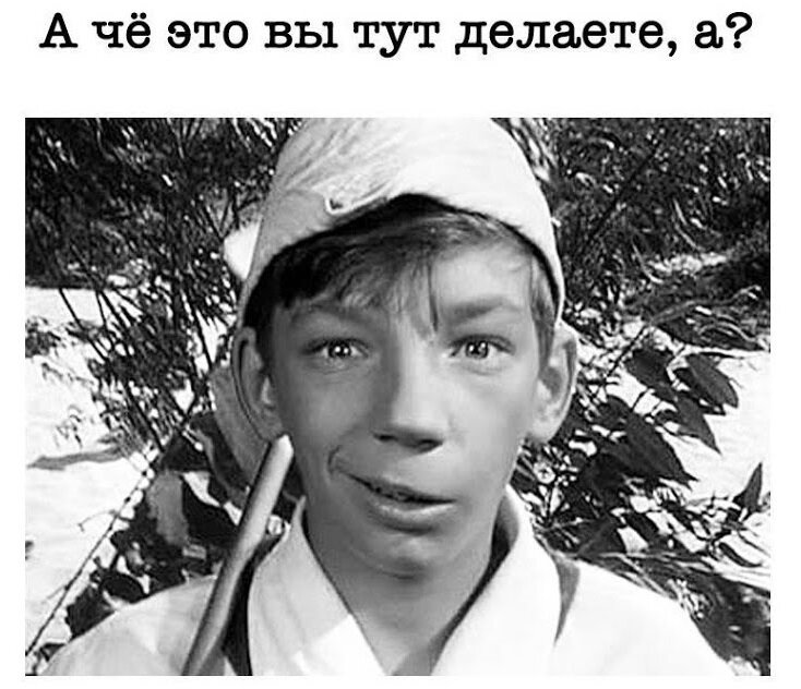 Это не вы это мы. А че это вы тут делаете. А что это вы здесь делаете. А что это вы тут делаете картинки.