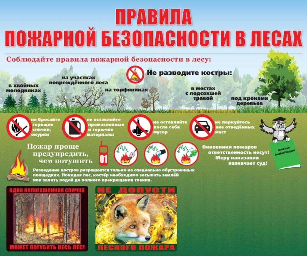 Правила пожарной безопасности на природе.