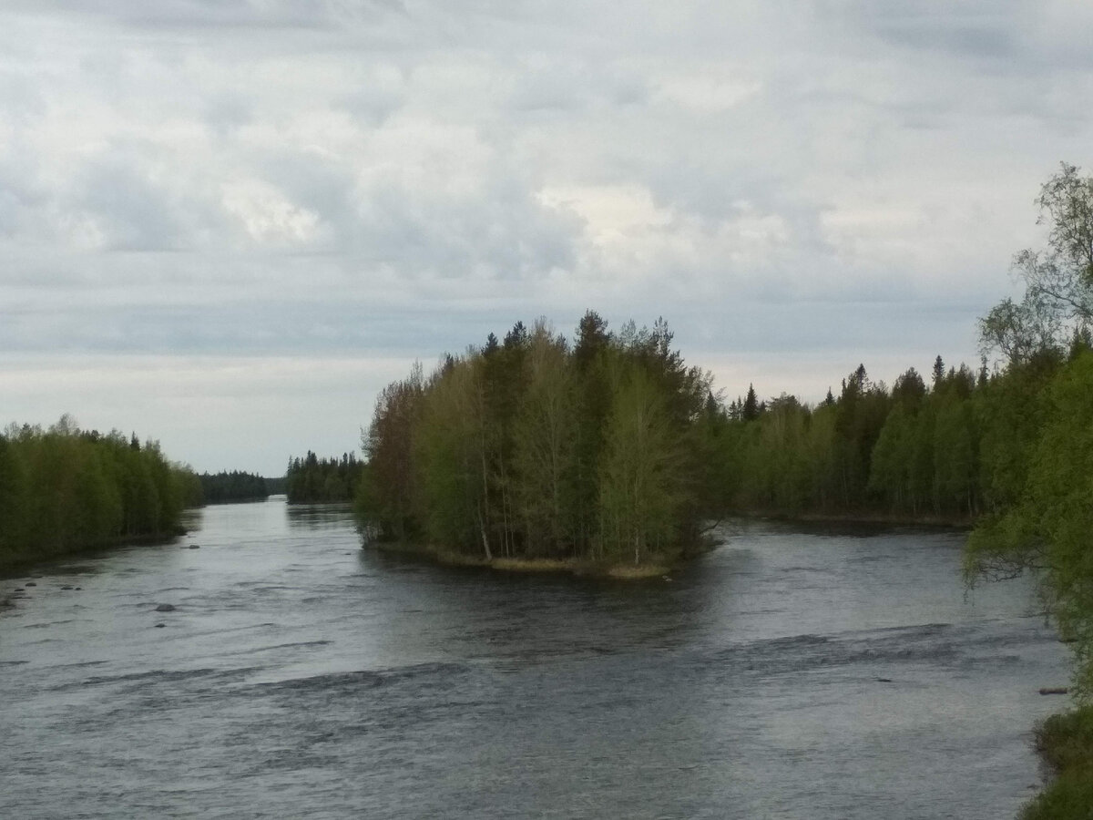 Река Кереть. Фото из личного архива