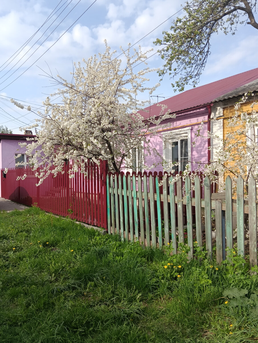 фото автора канала
