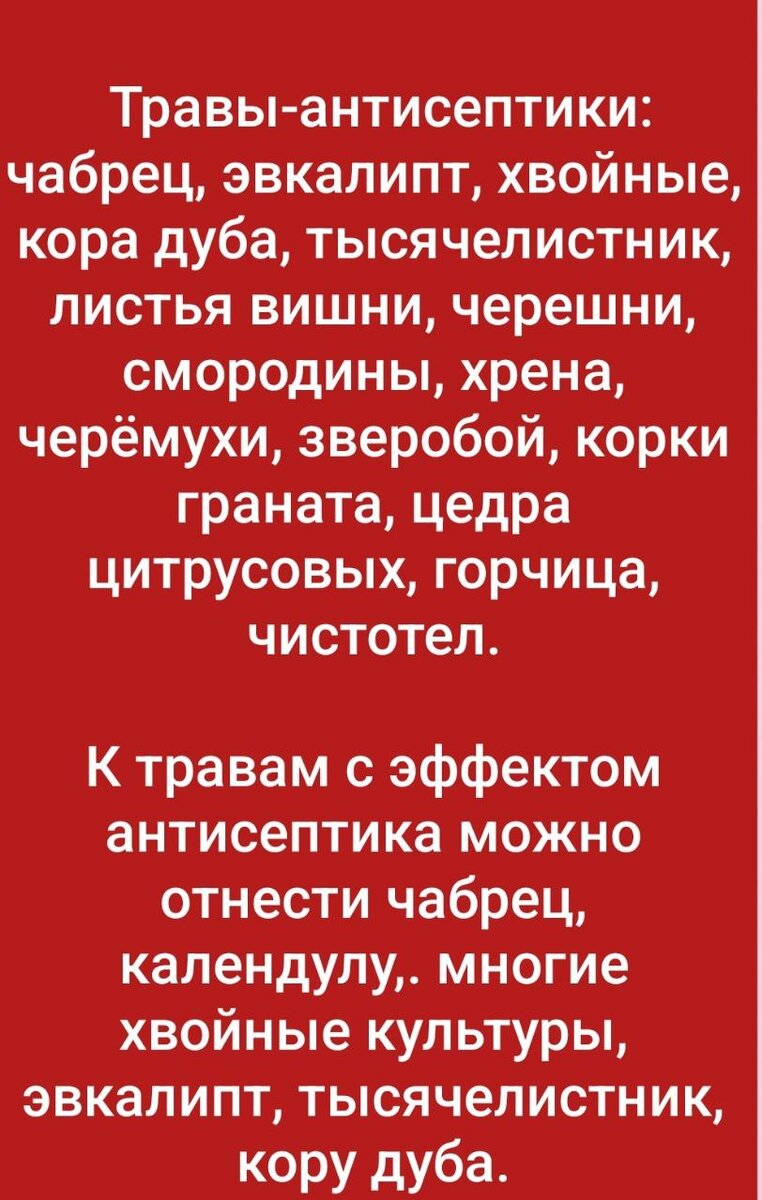 Ведьмёныш. Юность. Про тётю Люсю, про костёр и про дом | Ведьмины  подсказки. Мифы, фэнтези, мистика | Дзен