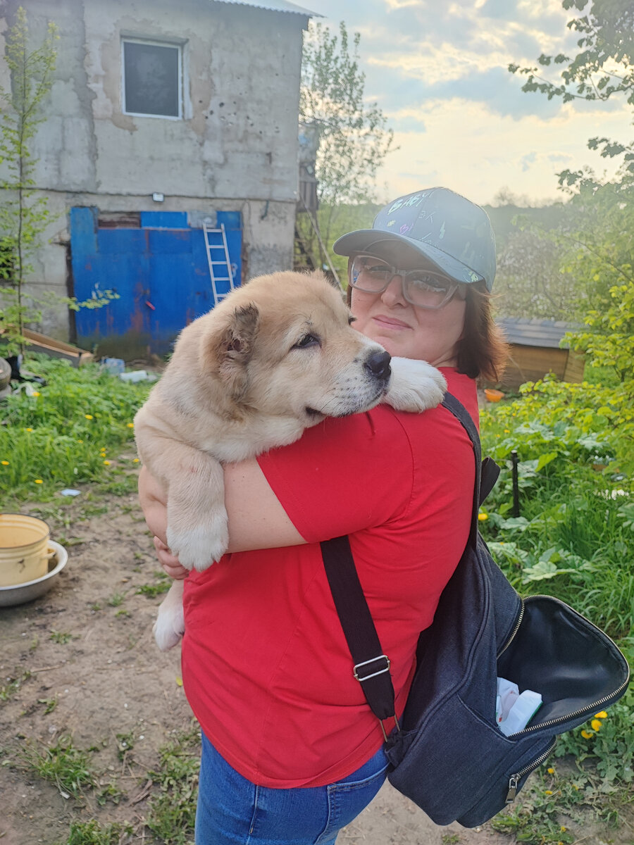 Это сирота-алабайчик Плюш