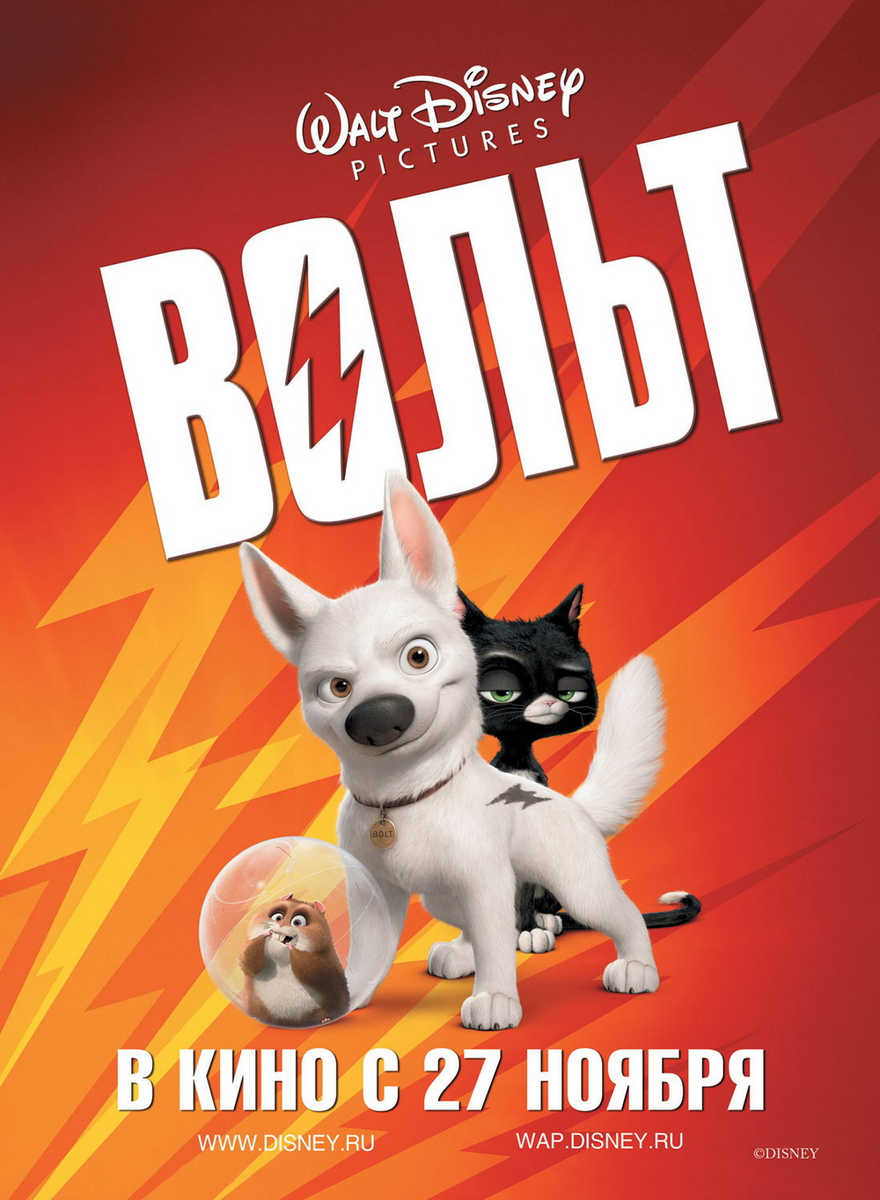Пёс, кошка и хомяк — супергерои