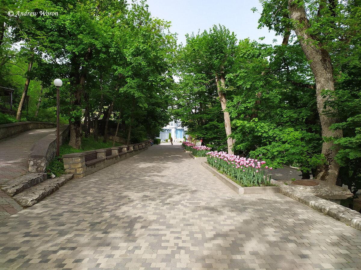 Аллея, ведущая от городских улиц к курортной зоне