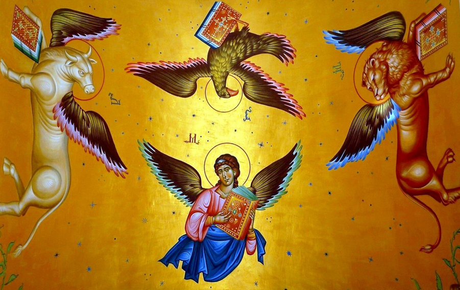 Тетраморф. Фото из открытых источников