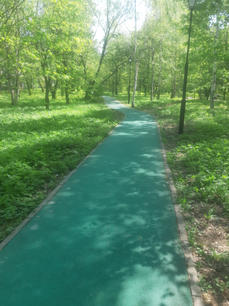 Новый маршрут